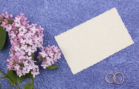 Beautiful art background  with wedding ringsの写真素材