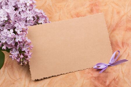 Card for congratulation on an abstract backgroundの写真素材