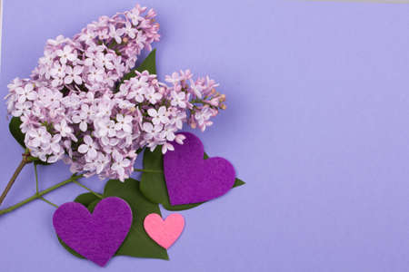 Beautiful art background  with scrapbooking elementsの写真素材