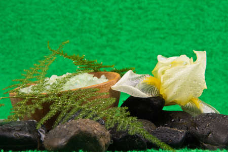 bath salt  and a smooth sea stonesの写真素材