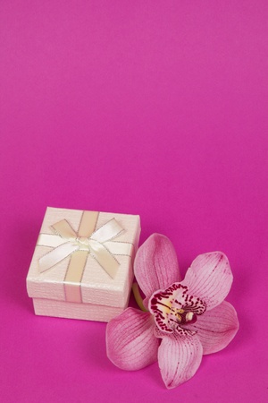 Box for gift and orchid on a pink background  の写真素材