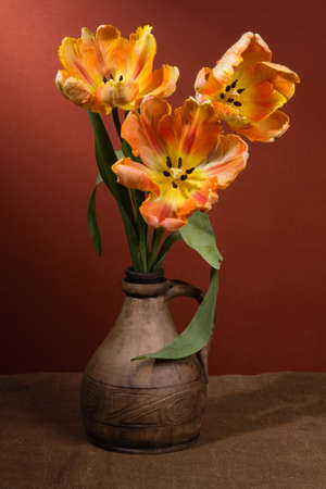 Orange tulips on a brown  backgroundの写真素材