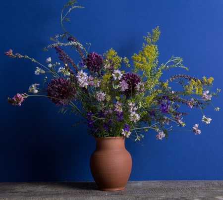 Bouquet of wild flowers on a blue backgroundの写真素材