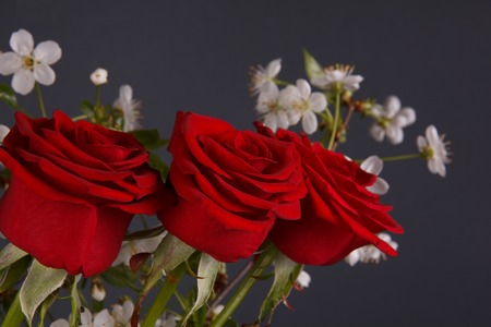 Bouquet of blooming   flowers on a dark backgroundの写真素材
