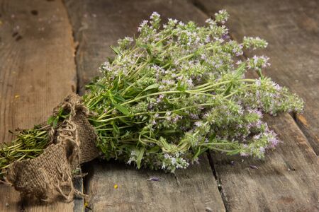 Blooming thyme herb on old wooden backgroundの写真素材