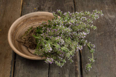 Blooming thyme in a ceramic plate on boardsの写真素材