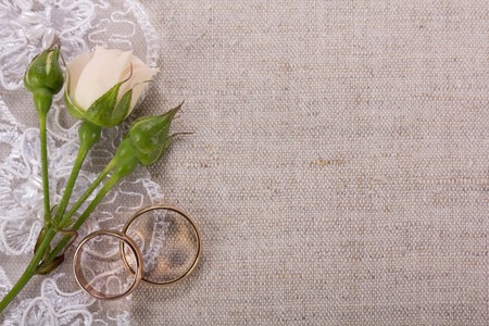 Fresh beautiful rose and two wedding ringsの写真素材