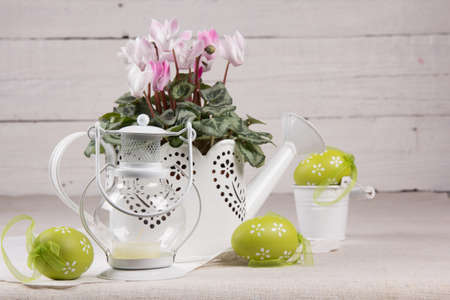 Beautiful easter background  with fresh spring flower
