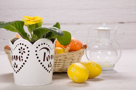 Beautiful easter background  with fresh spring flower