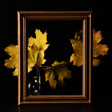 Autumn yellow leaves on a dark background