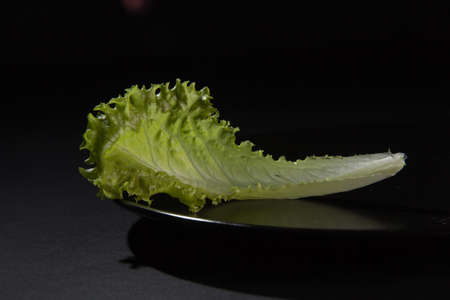 Fresh lettuce on a black plate, against a dark backgroundの写真素材