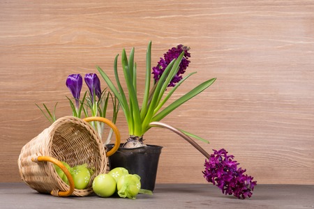 Beautiful easter background with fresh spring flowerの写真素材