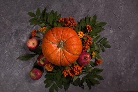 Autumn still life with a pumpkin. Halloween.