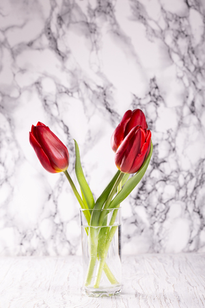 Three red tulips on a light background. Place for text.の写真素材