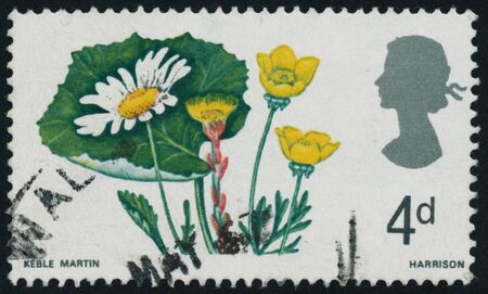 POLTAVA, UKRAINE - MAY 1, 2019. Vintage stamp printed in Great Britain 1967 from the flowers seriesのeditorial素材