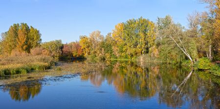 River in the forest on a sunny autumn day