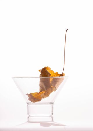 Dry yellow leaf in a glass bowl around a white backgroundの写真素材