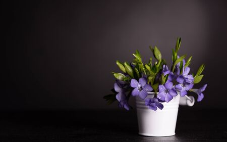 Bunch of beautiful spring flowers in a bucket on a dark backgroundの写真素材
