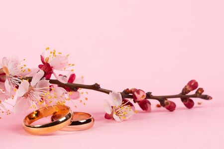 Wedding concept with flowers apricots in pinkの写真素材