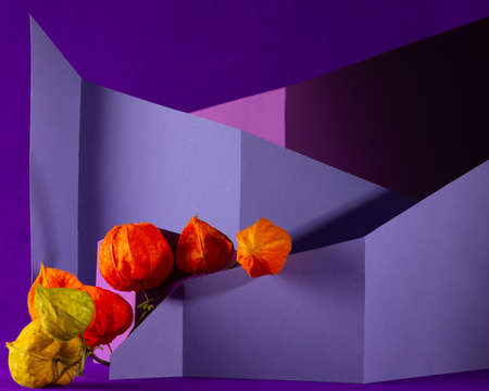 Asymmetric, abstract geometric background with a plantの写真素材