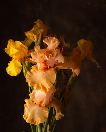Fresh bright yellow irises. Spring flowers for congratulations.