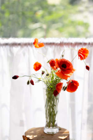 Bouquet of red poppies in a glass vase against the background of the windowの写真素材