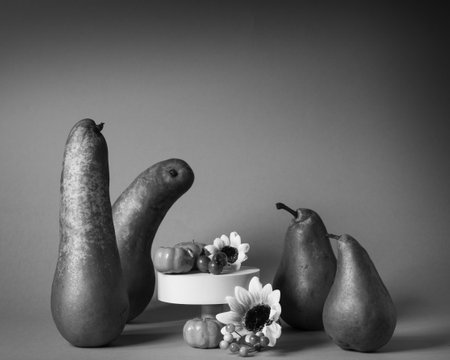 Pears represent people celebrating Thanksgivingの写真素材