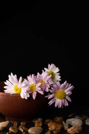 Beautiful flowers, ceramic ware on a black backgroundの写真素材