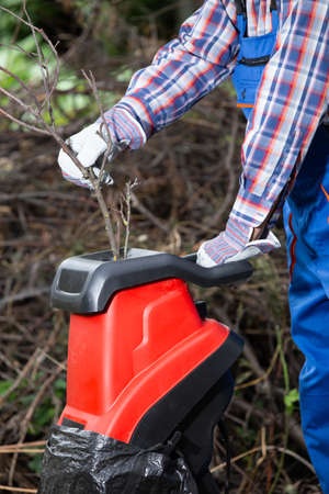 Shredding branches with an electric garden shredder in the garden