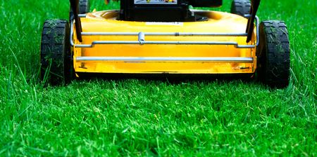 Lawn mower trail close-up