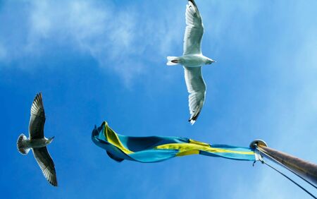 Flag escortの写真素材