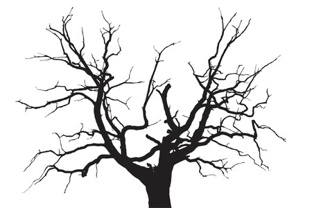 Gloomy dead oak treeのイラスト素材