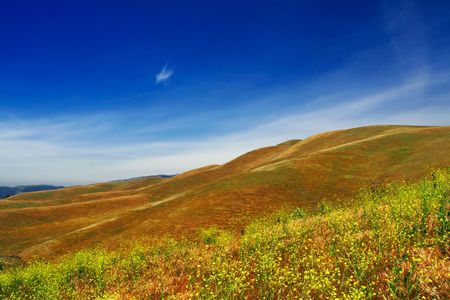 Hills of Californiaの写真素材