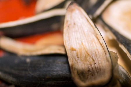 peel of sunflower seeds in macro on the table.の写真素材