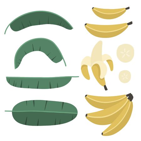 yellow bananas set of different, banana palm leaves, vector illustration, hand drawingのイラスト素材