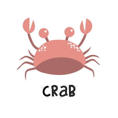 cute crab, sea ocean, cartoon lettering vector illustration hand drawingの写真素材