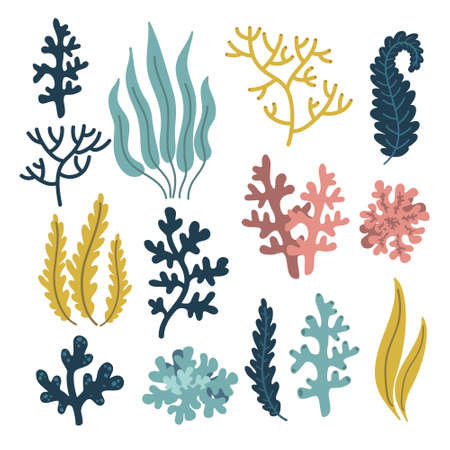 cute plants and coral, underwater world elements set, sea of ââocean, vector illustration hand drawingのイラスト素材