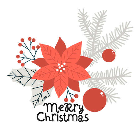 vector, poinsettia flower and fir branches, christmas greeting card, backgroundのイラスト素材