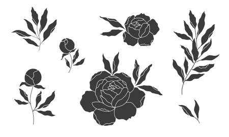 peony flower and leaves, vector silhouette, outline drawingのイラスト素材