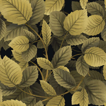 raspberry plant, branch in leaves and berries, seamless pattern, drawing illustrationの写真素材