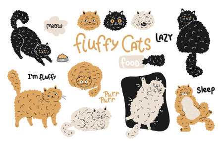 fat domestic fluffy lazy cats, vector illustration, color set in different poses, hand drawingのイラスト素材