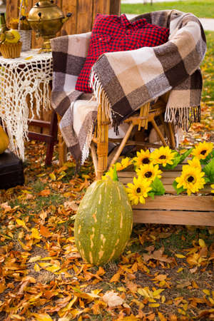 Garden composition with pumpkin, vintage watering can with plants, plaid on wooden chair on autumn leaves background, autumn scene, daylight, samovarの写真素材