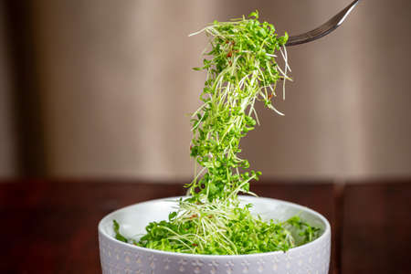 Watercress microgreens on a fork in a bowl. Wooden table.