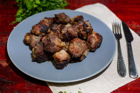 Shashalyk - pieces of pork fried over charcoal with shallots, sauce and herbs on a slate tray with a dark background.の写真素材