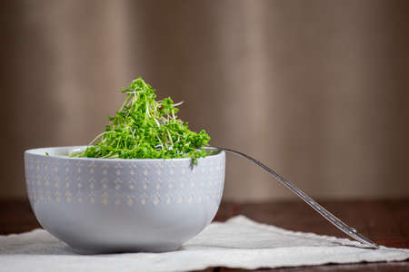 Watercress microgreens on a fork in a bowl. Wooden table.の写真素材