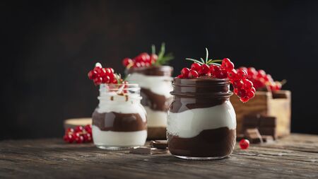 Sweet dessert with white and dark chocolate cream and berry, selective focus image and slider formatの写真素材