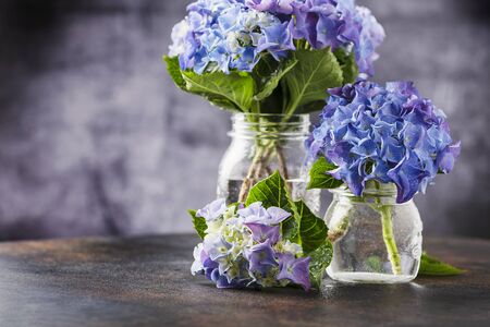 Greeting card concept. Amazing blue hydrangea flowers on the dark table. Selective focus and close...