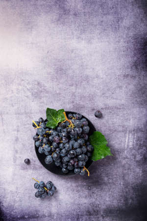 Top down view of a black grape with green leaves on the dark background, copy space for text
