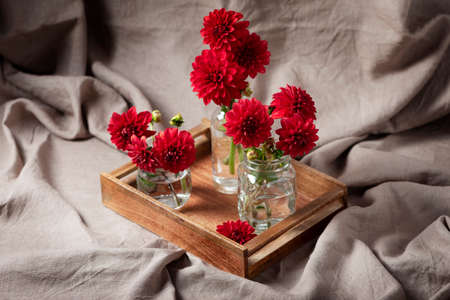 Red amazing flowers dahlias on the wooden tray, selective focus imageの写真素材