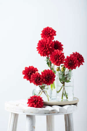 Red amazing flowers dahlias on the wooden table, selective focus imageの写真素材